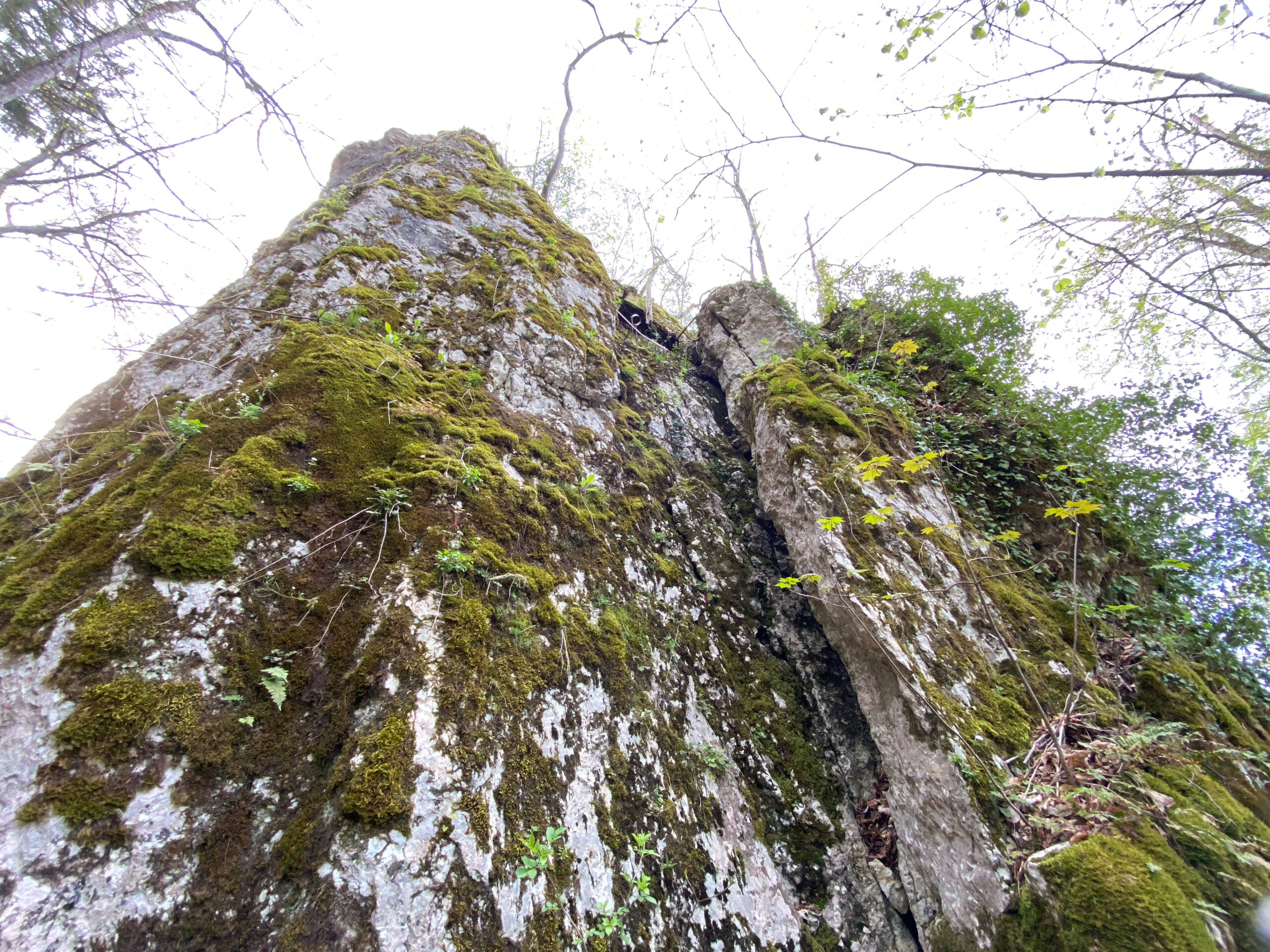 Dornach Ruine Hilzenstein Felsturm2_Sebastian Juengel
