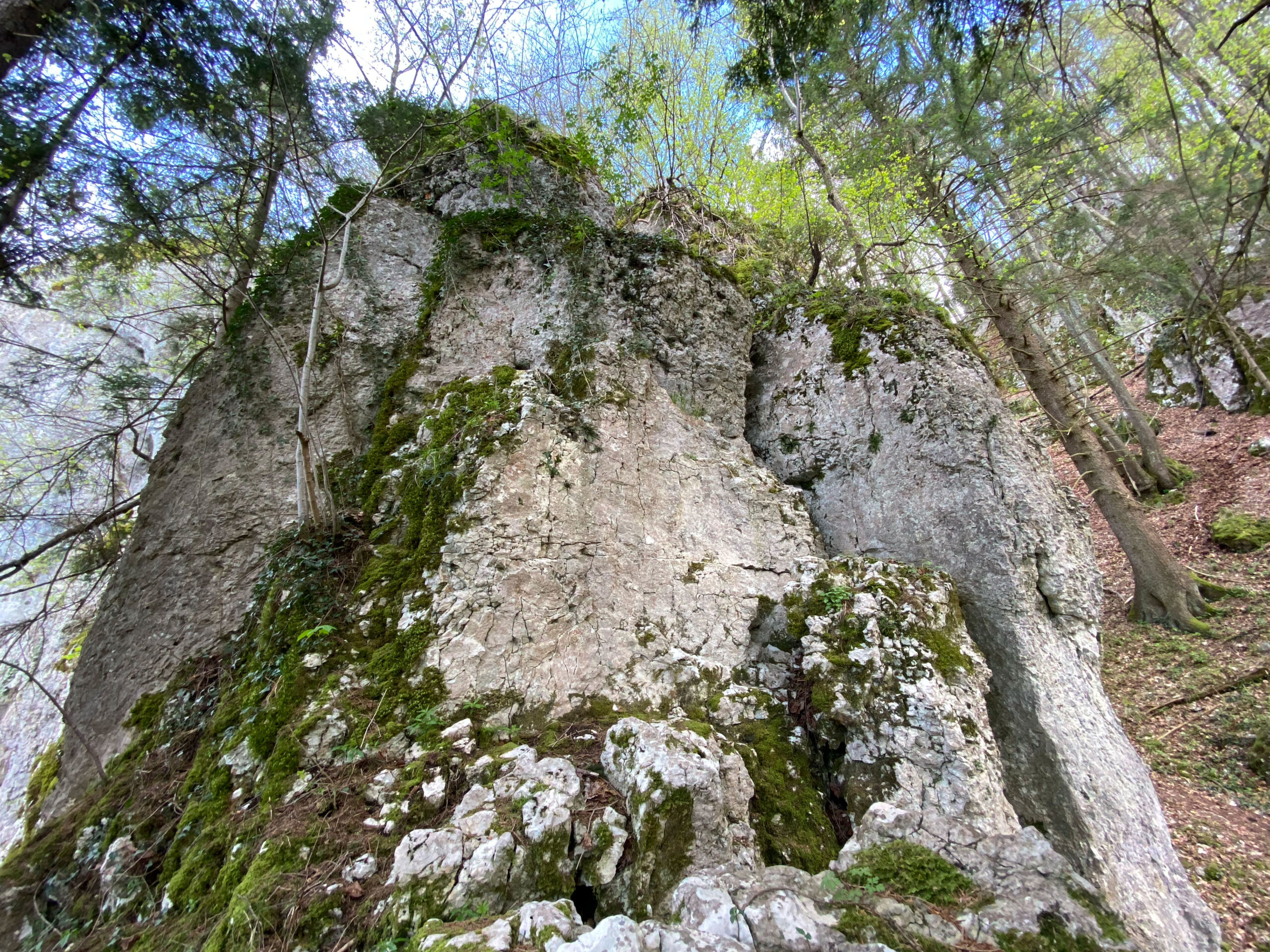 Dornach Ruine Hilzenstein Felsturm_Sebastian Juengel