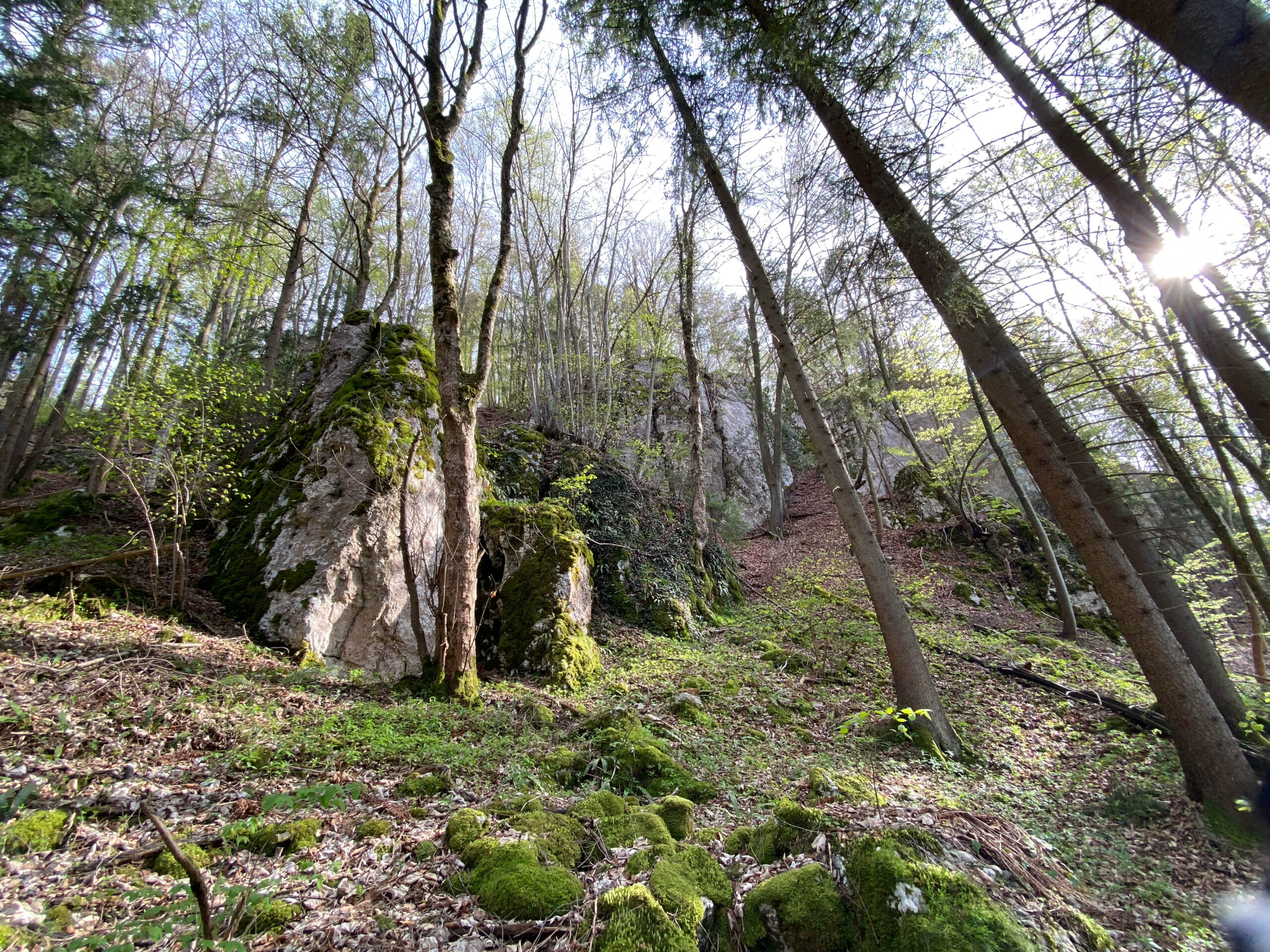Dornach Ruine Hilzensten von unten_Sebastian Juengel