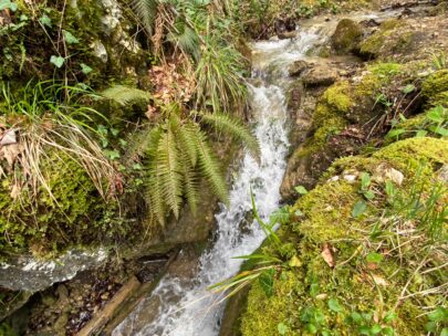 Hofstetten Chaelengrabenschlucht Kleiner Wasserfall 2 _ Sebastian Juengel Kopie