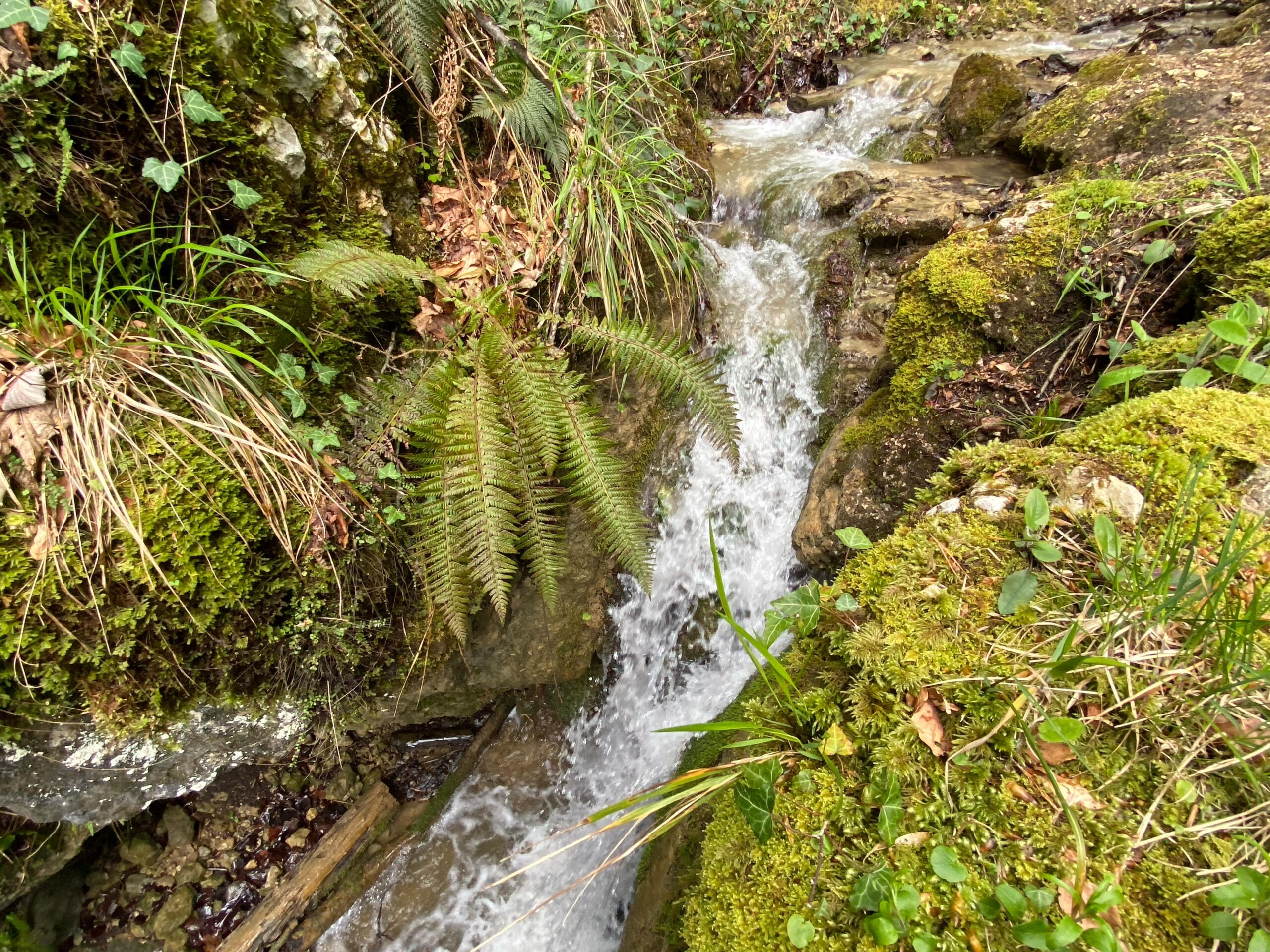 Hofstetten Chaelengrabenschlucht Kleiner Wasserfall 2 _ Sebastian Juengel Kopie