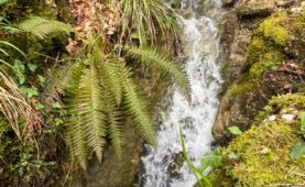 Erfrischende Chälengrabenschlucht