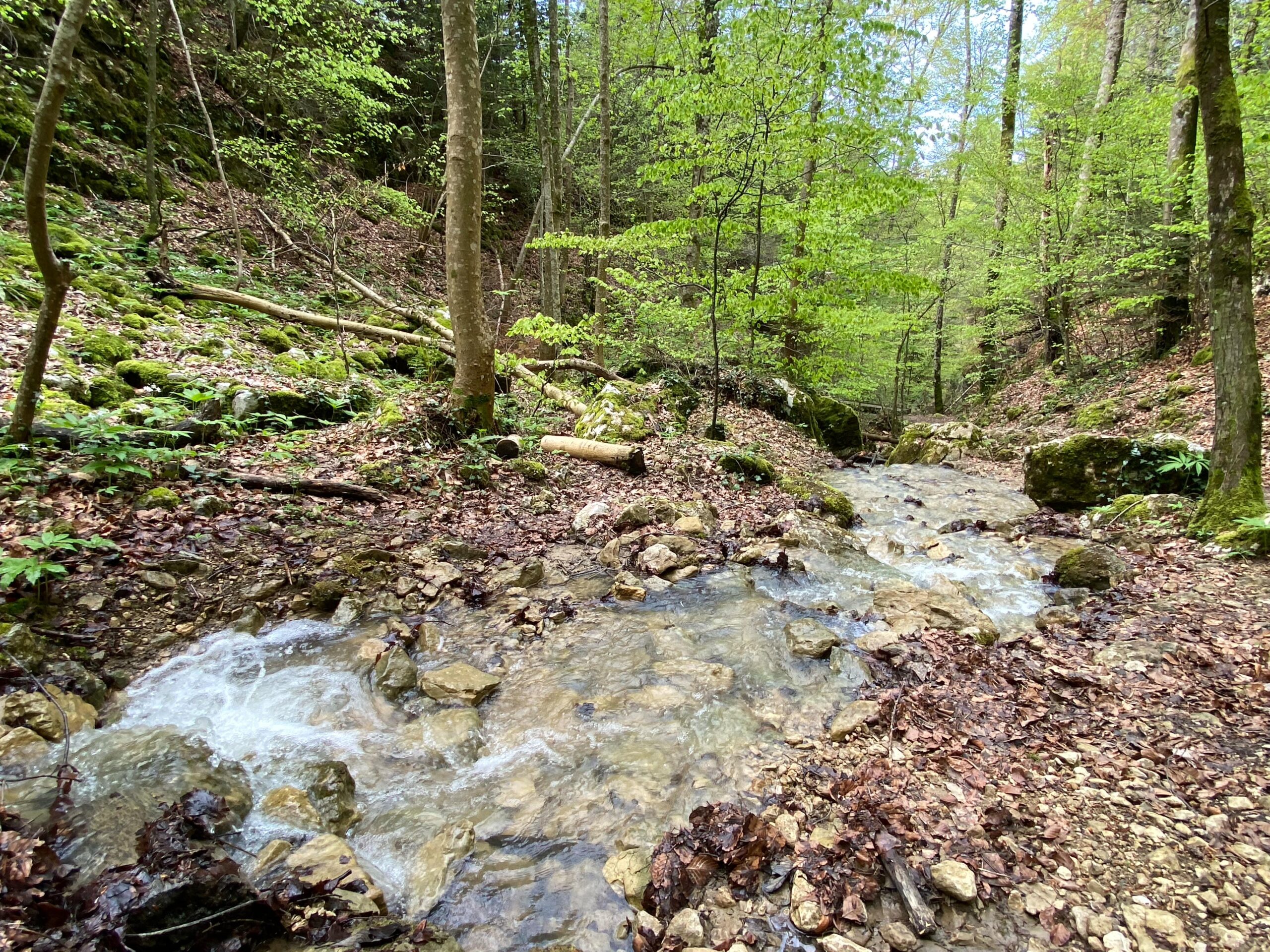 https://www.schwarzbubenland.info/wp-admin/admin.php?page=wp-mail-smtp-reports