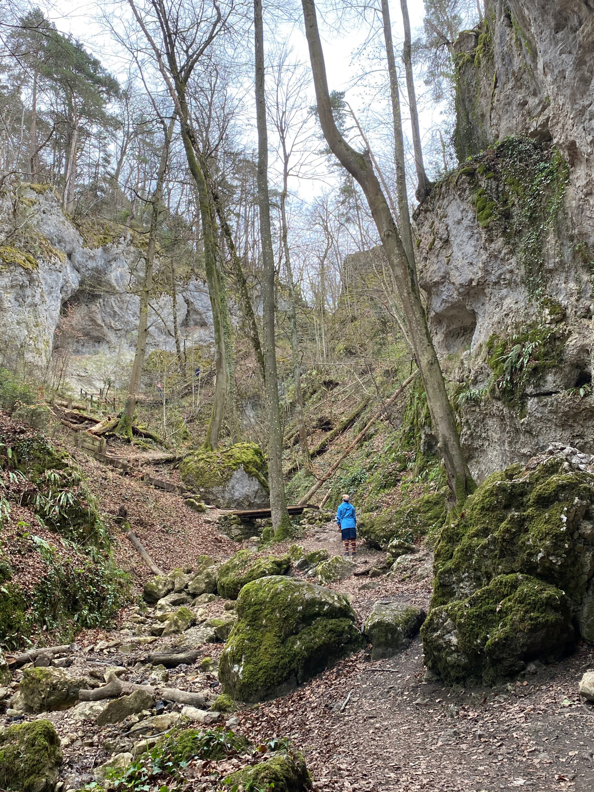 IMG_2298_Chaelegrabeschlucht_steiler-Aufstieg_Sebastian-Juengel