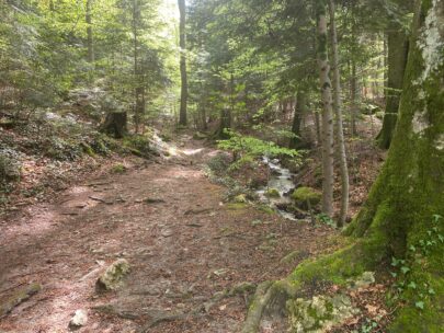 IMG_5067_Chaelegrabeschlucht_normaler Weg_Sebastian Juengel Kopie