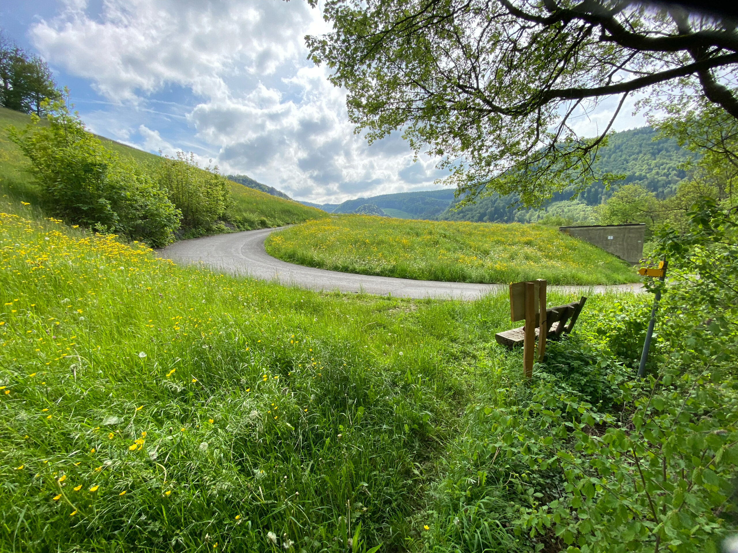 Beinwil Chnoechli uf Wanderschaft Aussicht_Sebastian Juengel