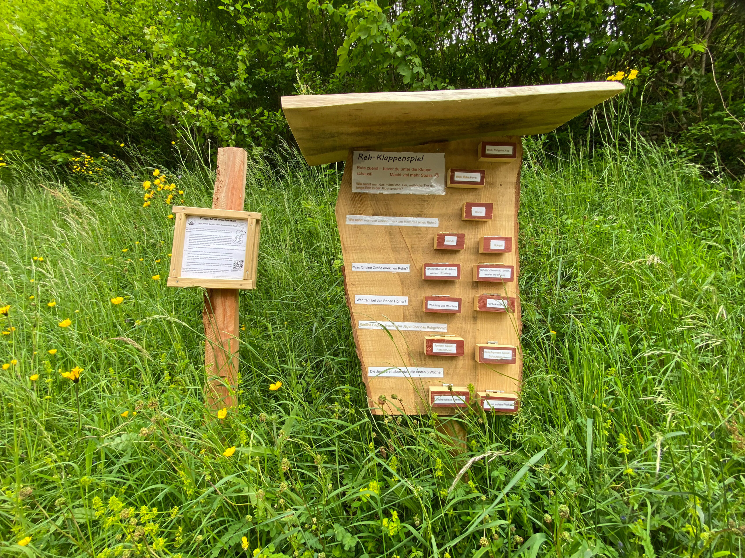 Beinwil Chnoechli uf Wanderschaft Klappen_Sebastian Juengel