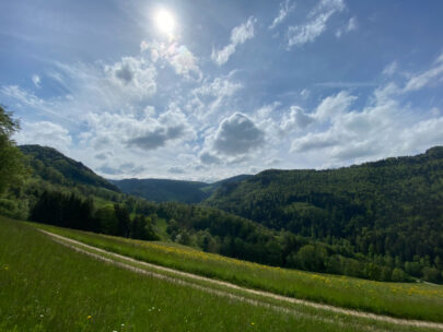 Meltingen Beinweil Panoramblick vor Chnoechlibank_Sebastian Juengel