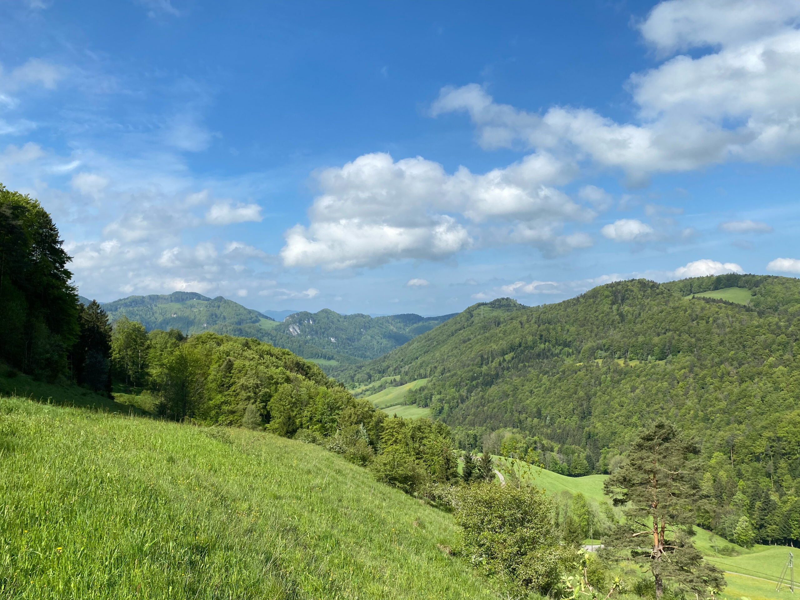 Meltingen Beinwil Panoramasicht nach Sonnenbank_Sebastian Juengel