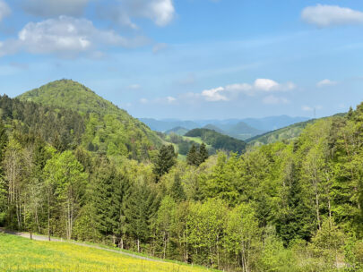 Meltingen Beinwil Spitze Kuppeln_Sebastian Juengel