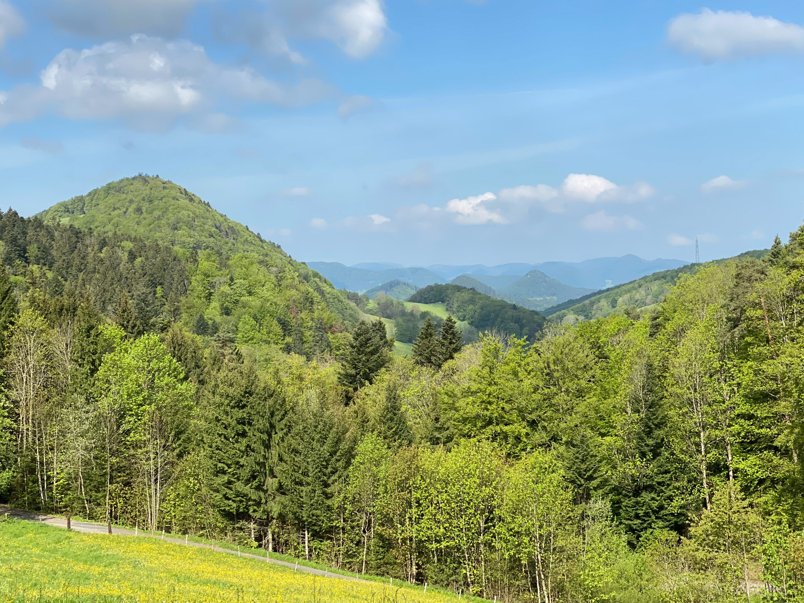 Meltingen Beinwil Spitze Kuppeln_Sebastian Juengel