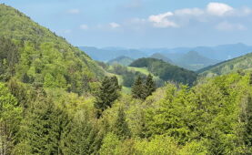 Panoramablicke zwischen zwei Wallfahrtsorten