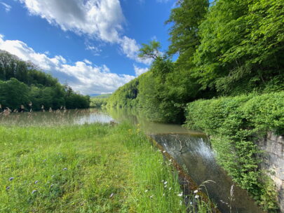 Breitenbach Baslerweiher Ablauf_Sebastian Juengel