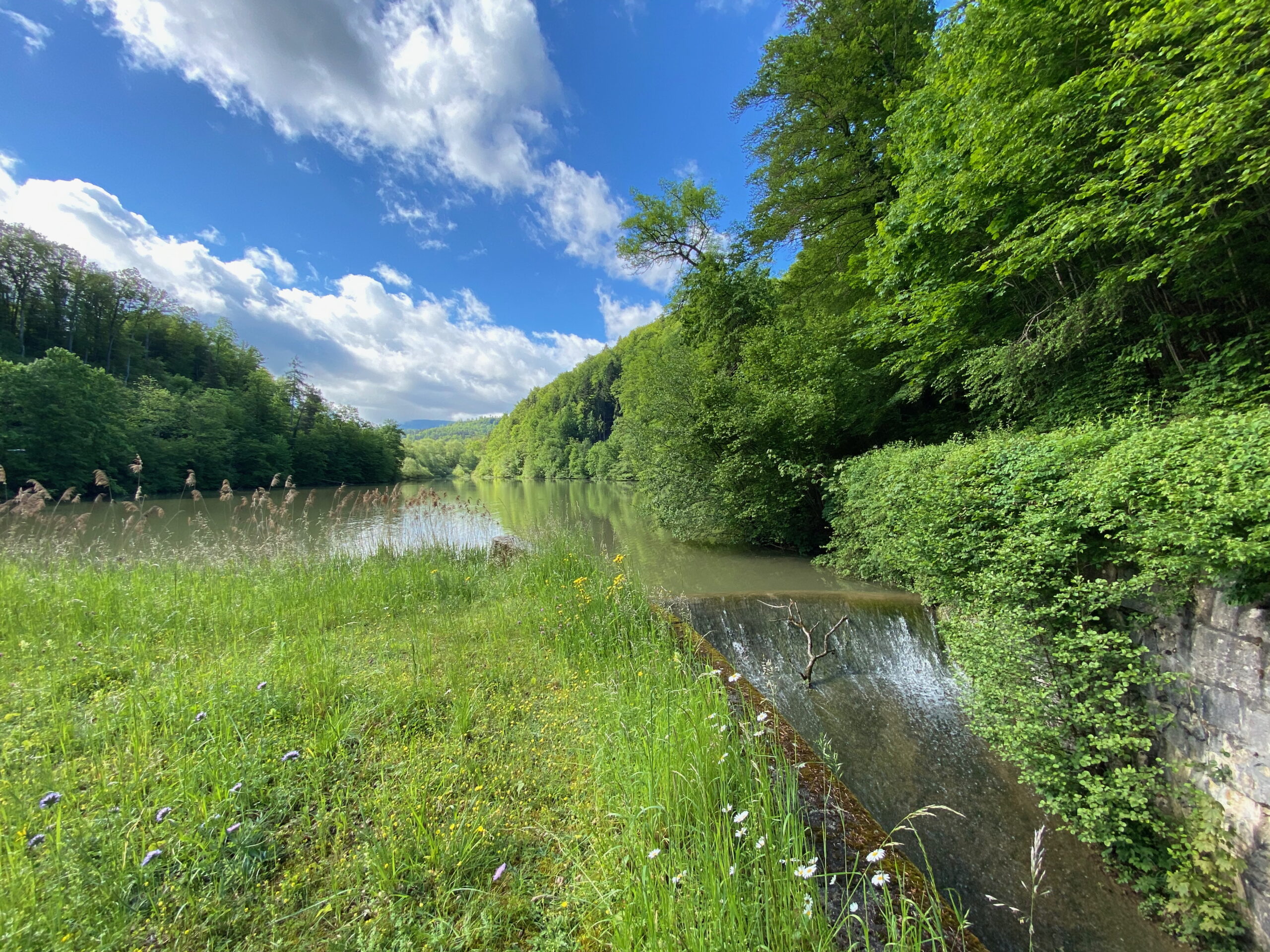 Breitenbach Baslerweiher Ablauf_Sebastian Juengel