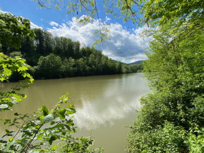 Breitenbach Baslerweiher Blick ueber den See_SebastianJUengel