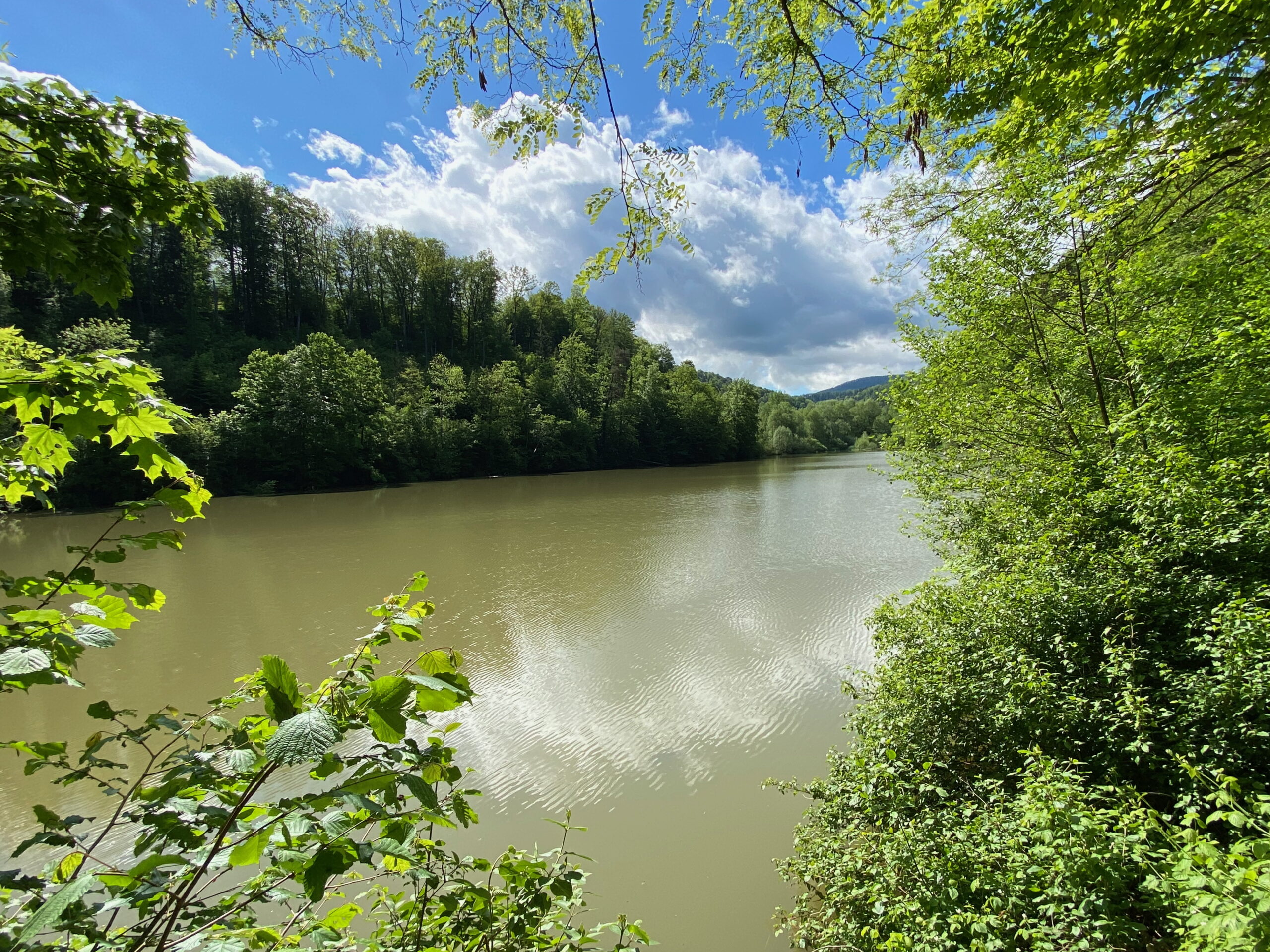 Breitenbach Baslerweiher Blick ueber den See_SebastianJUengel