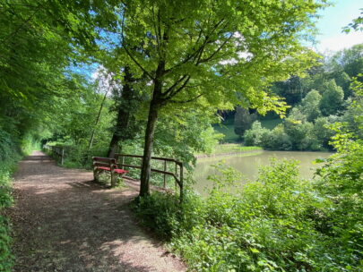 Breitenbach Baslerweiher Sitzbank_Sebastian Juengel