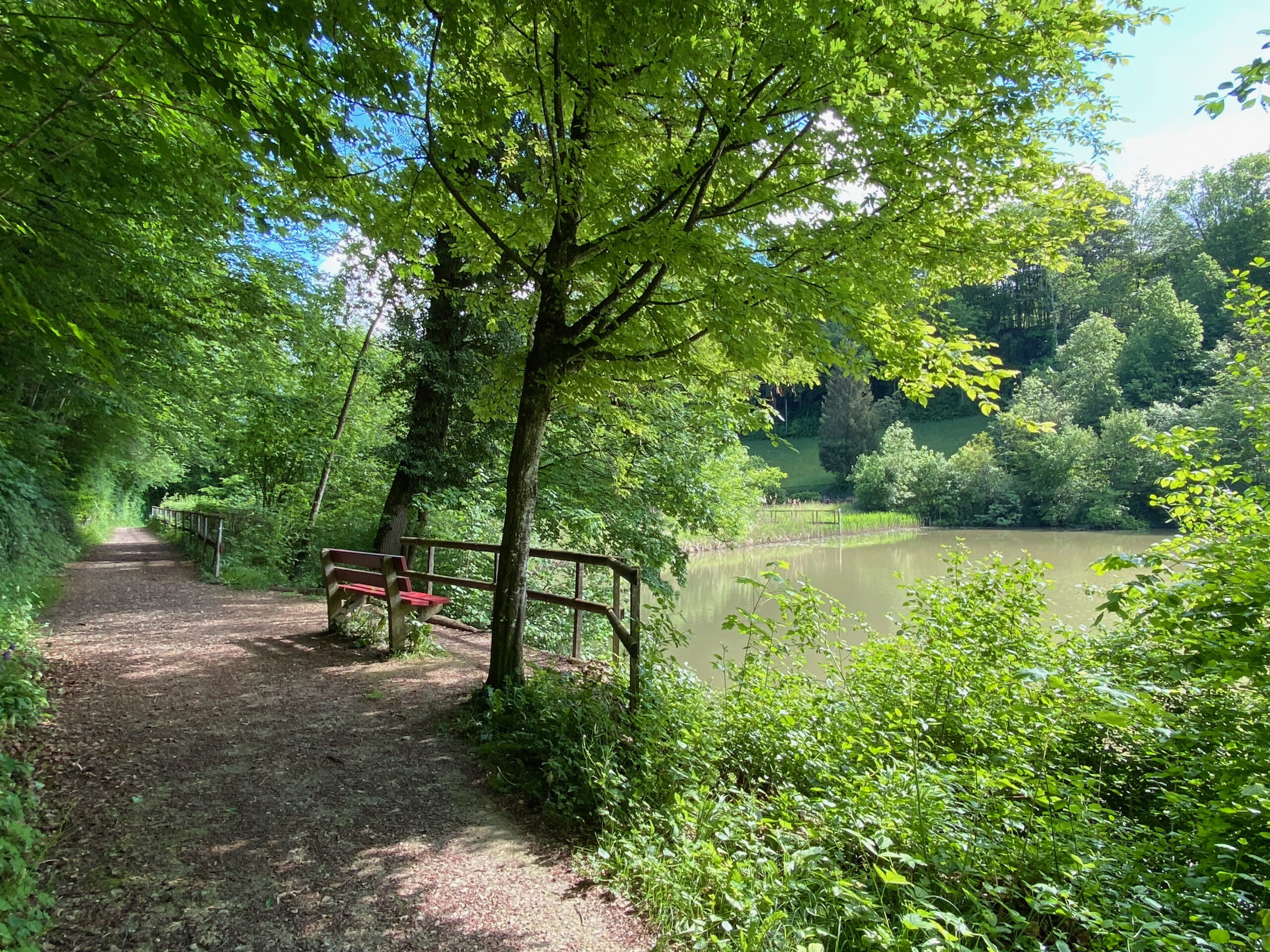 Breitenbach Baslerweiher Sitzbank_Sebastian Juengel