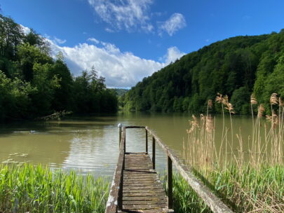 Breitenbach Baslerweiher Steg_Sebastian Juengel