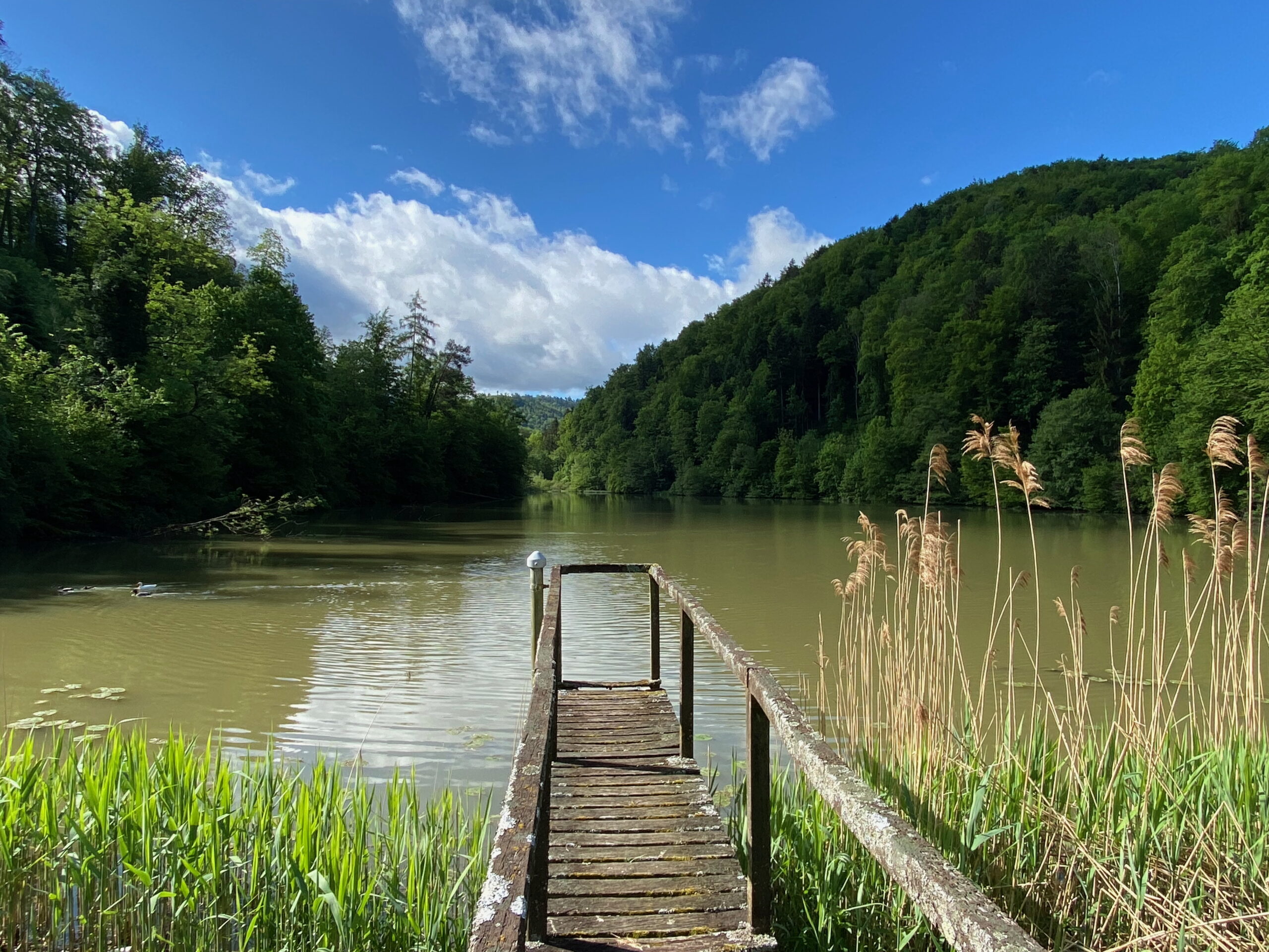 Breitenbach Baslerweiher Steg_Sebastian Juengel