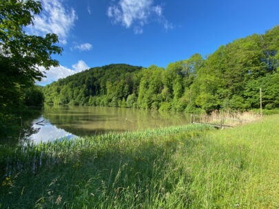 Breitenbach Baslerweiher Von Bretzwilerstrasse_Sebastian Juengel