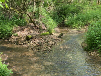Breitenbach Baslerweiher Zulauf_Sebastian Juengel