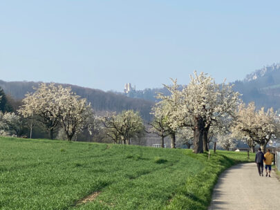 Bluescht Dornach _ Sebastian Juengel