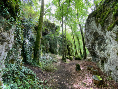 Seewen Burgstelle Fulnau Innenhof 2_Sebastian Juengel