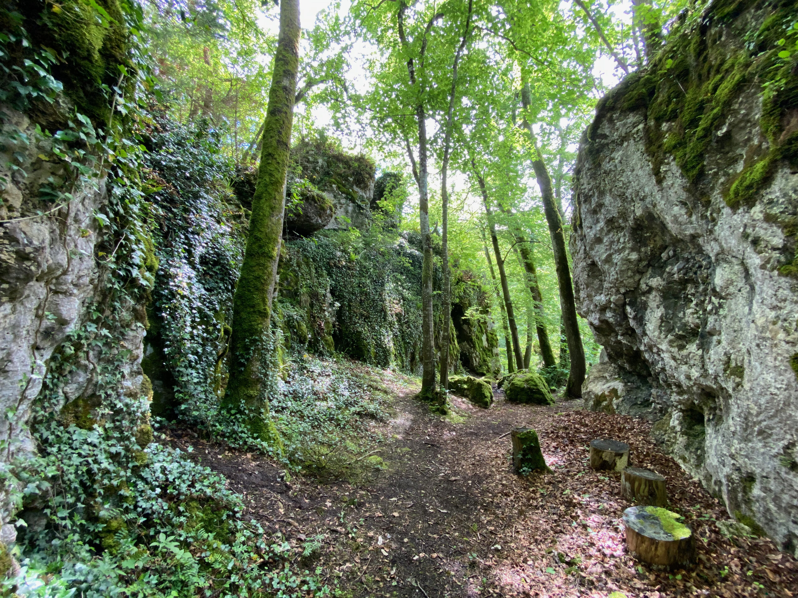 Seewen Burgstelle Fulnau Innenhof 2_Sebastian Juengel
