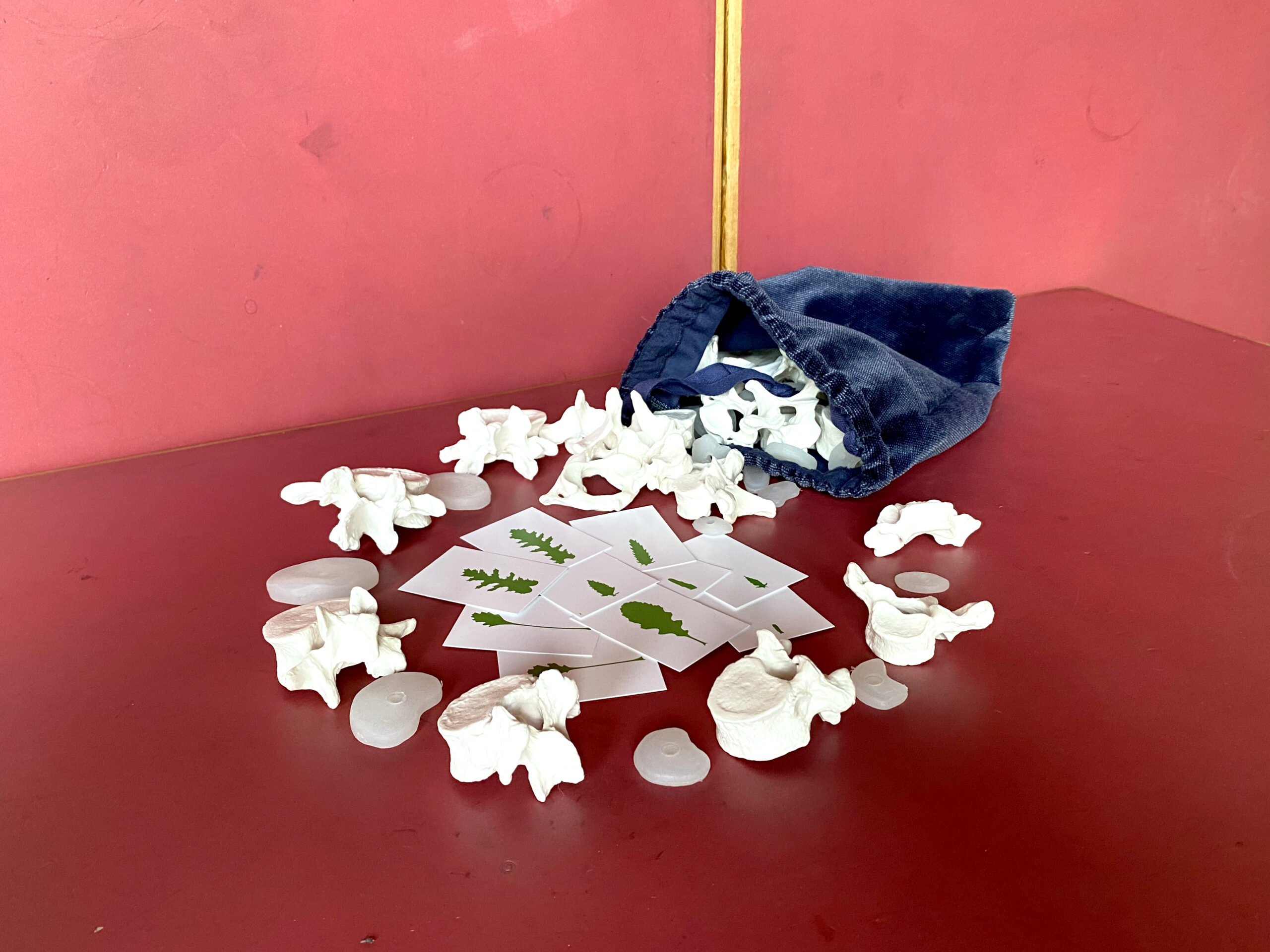 Goetheanum_Ausstellung_Metamorphose_Sebastian_Juengel