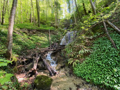 Dornach Wasserfall_Sebastian Juengel