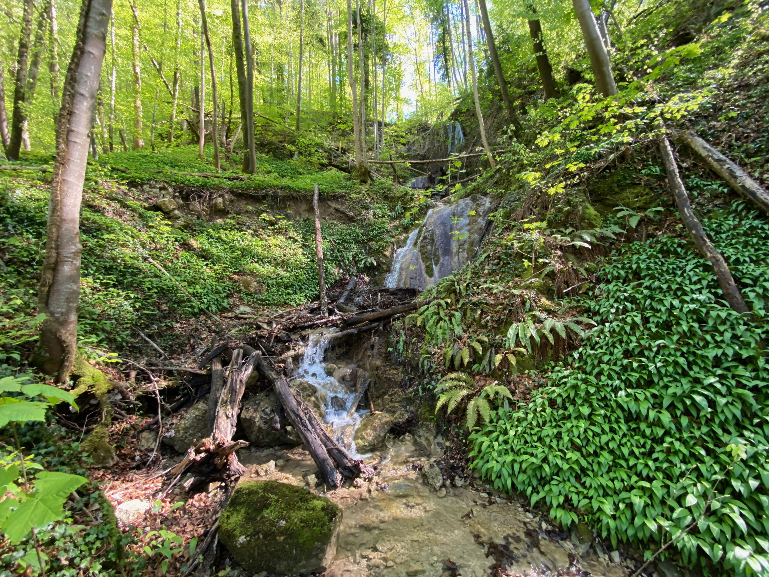 Dornach Wasserfall_Sebastian Juengel