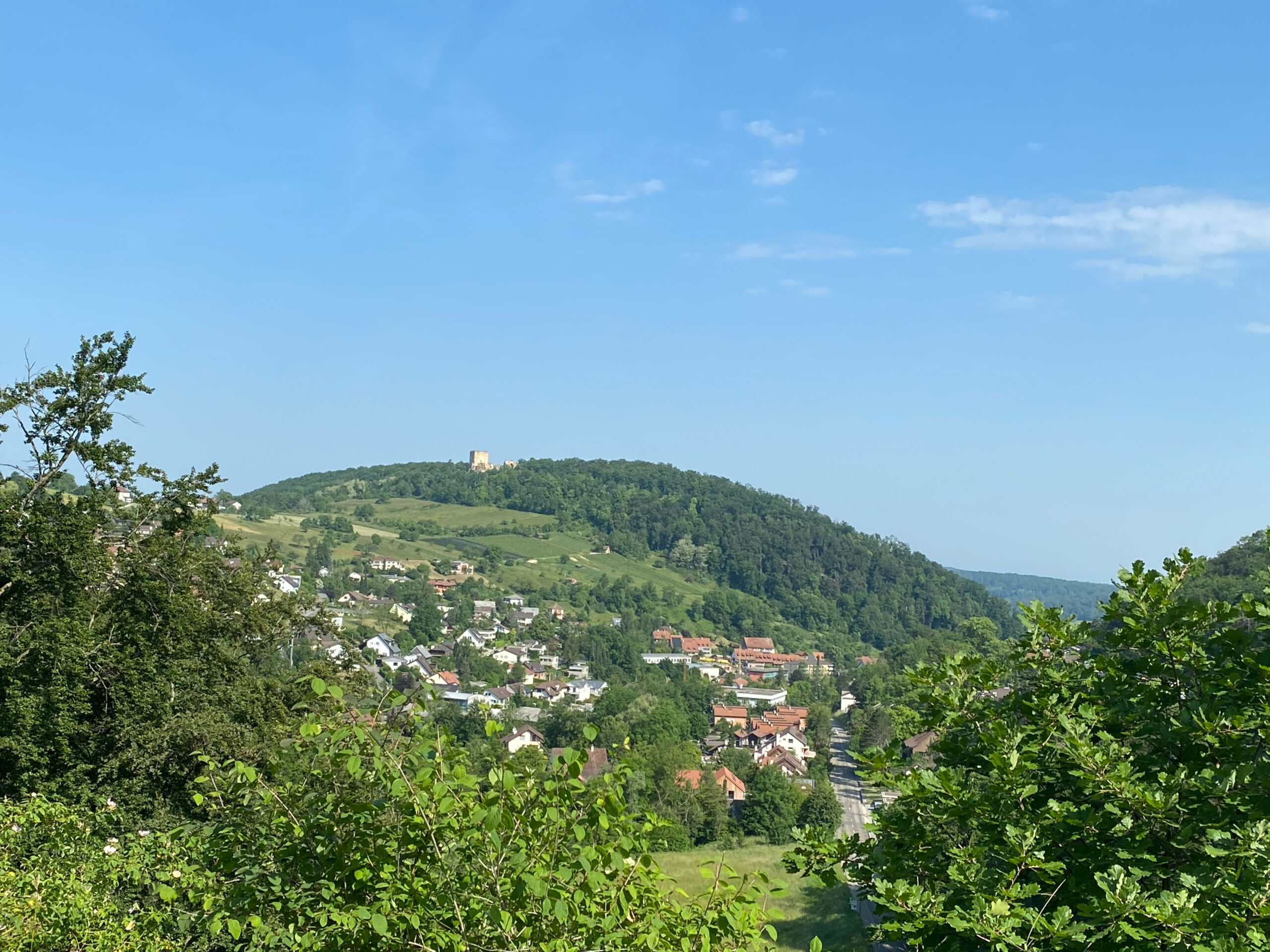 Hofstetten Flueh_Sternenberg Blick zur Landskron oben_Sebastian Juengel