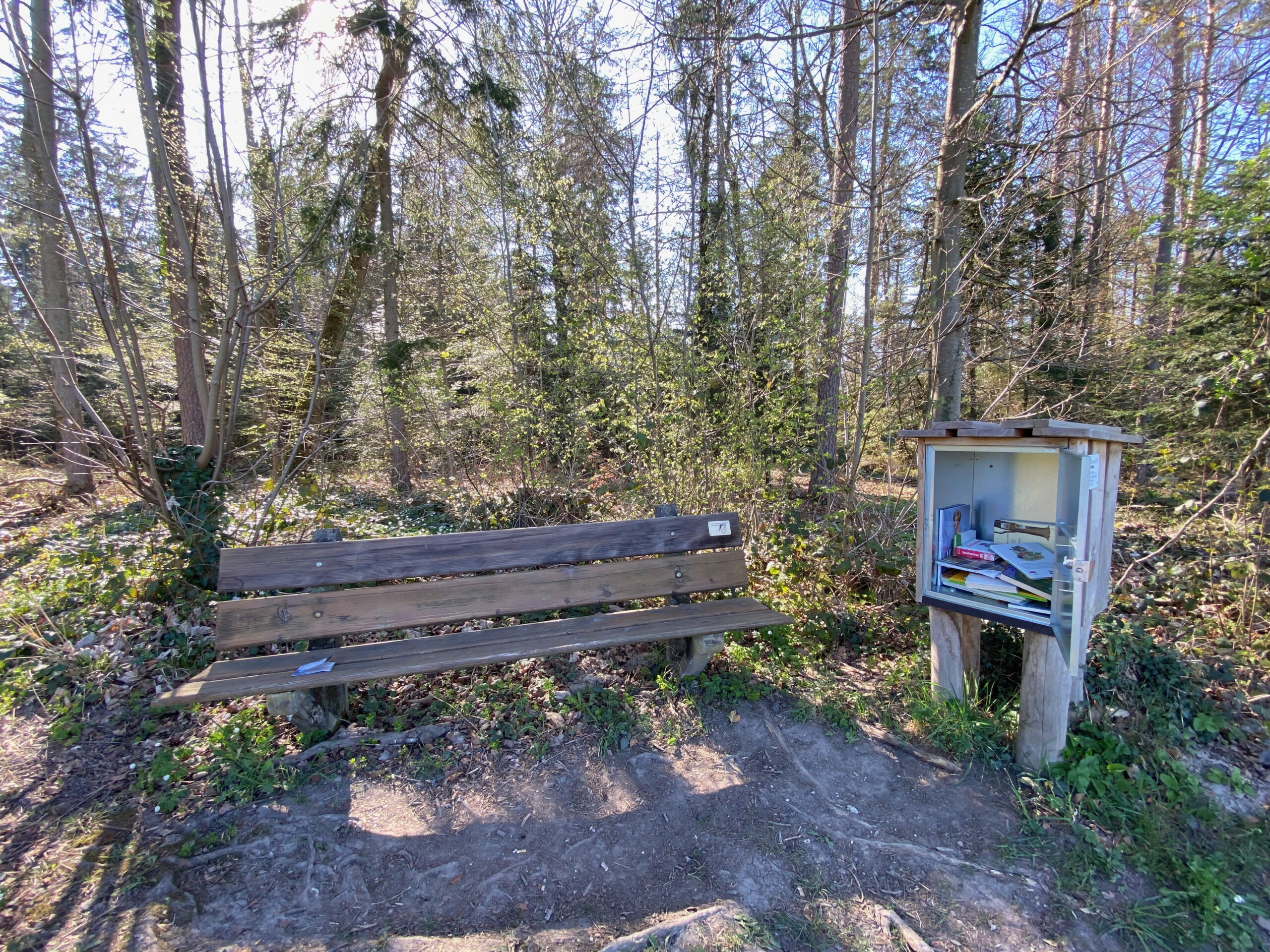 Breitenbach_Hirzewald_Bank mit Buecherschrank_Sebastian Juengel