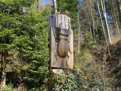 Breitenbach_Hirzewald_Hirzekaefer_Sebastian Juengel