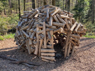 Breitenbach_Hirzewald_Spielplatz Detail_Sebastian Juengel