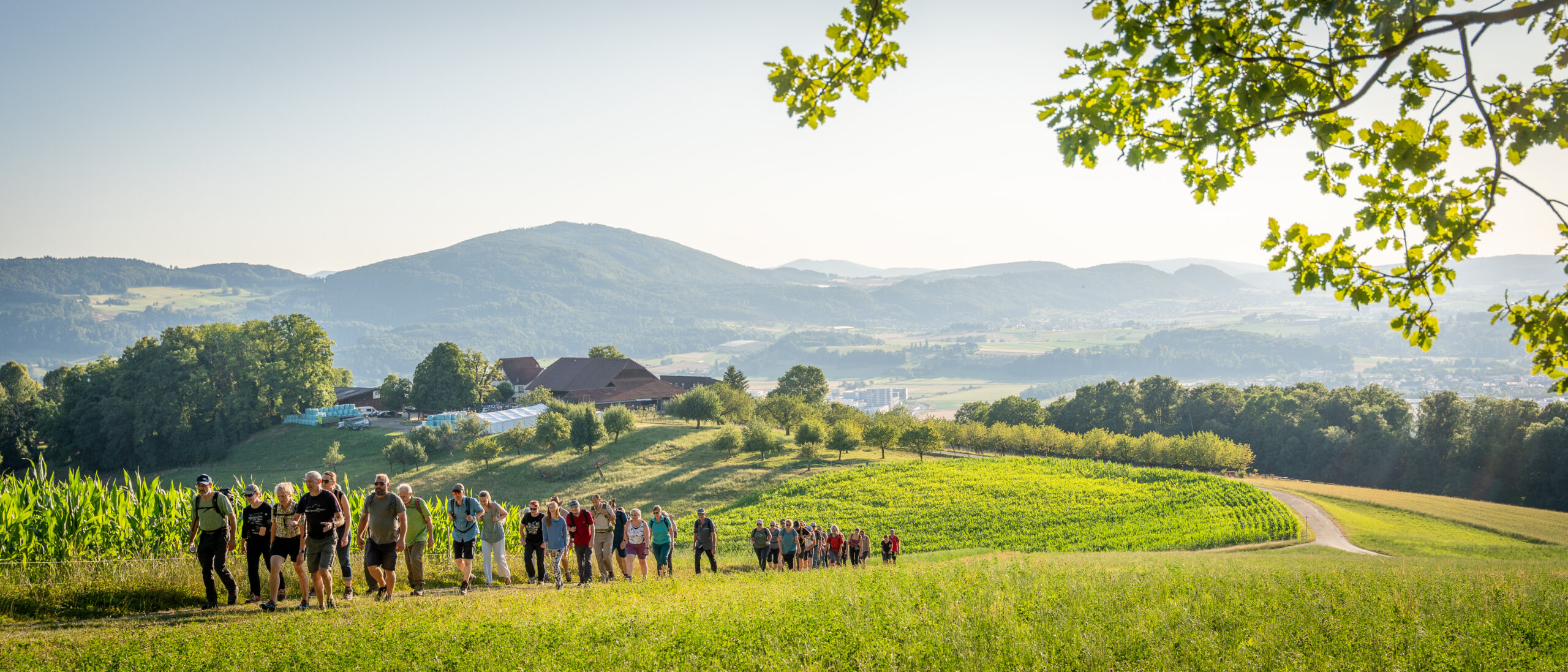 FSBL_Wandernacht_2025-88