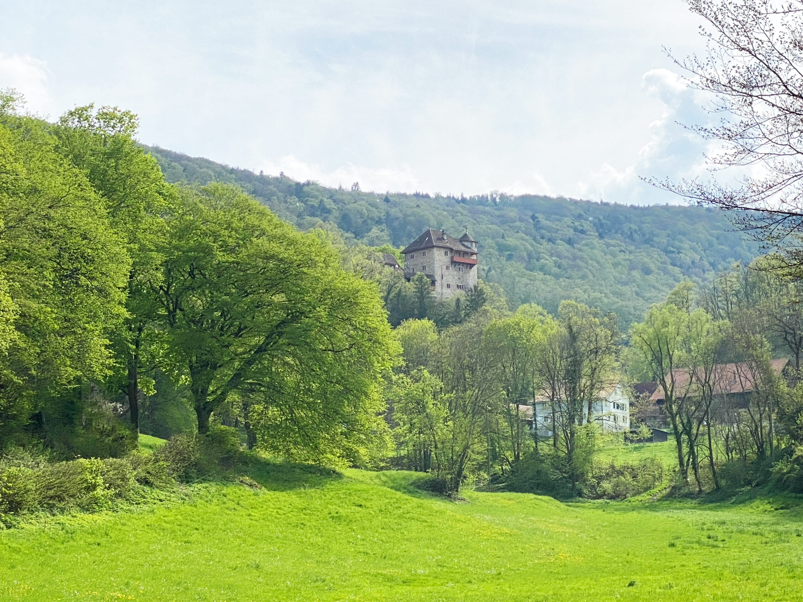 Mertzerlen_Burg Rotberg aus der Ferne_Sebastian Juengel