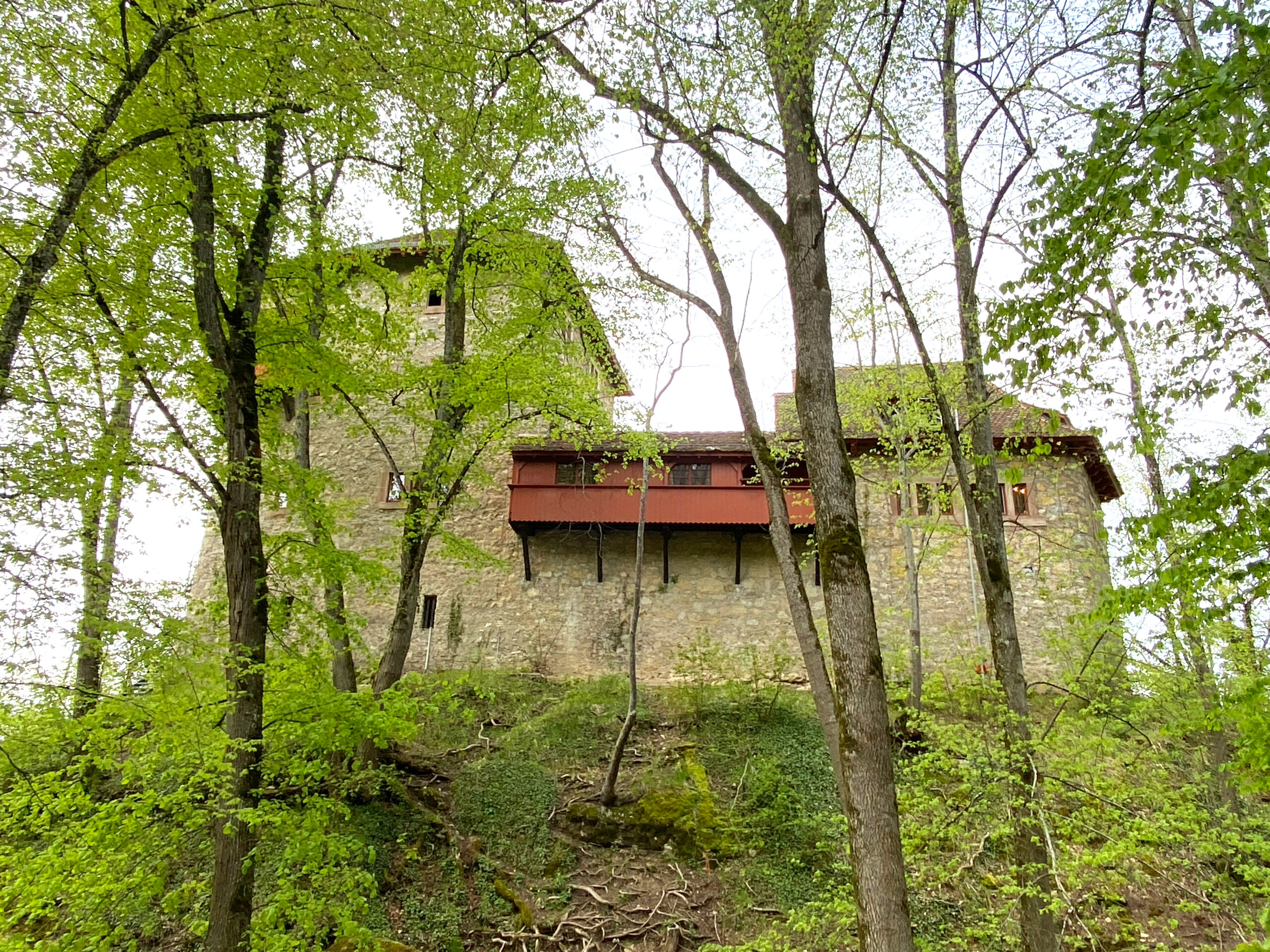 Mertzerlen_Burg Rotberg von hinten_Sebastian Juengel