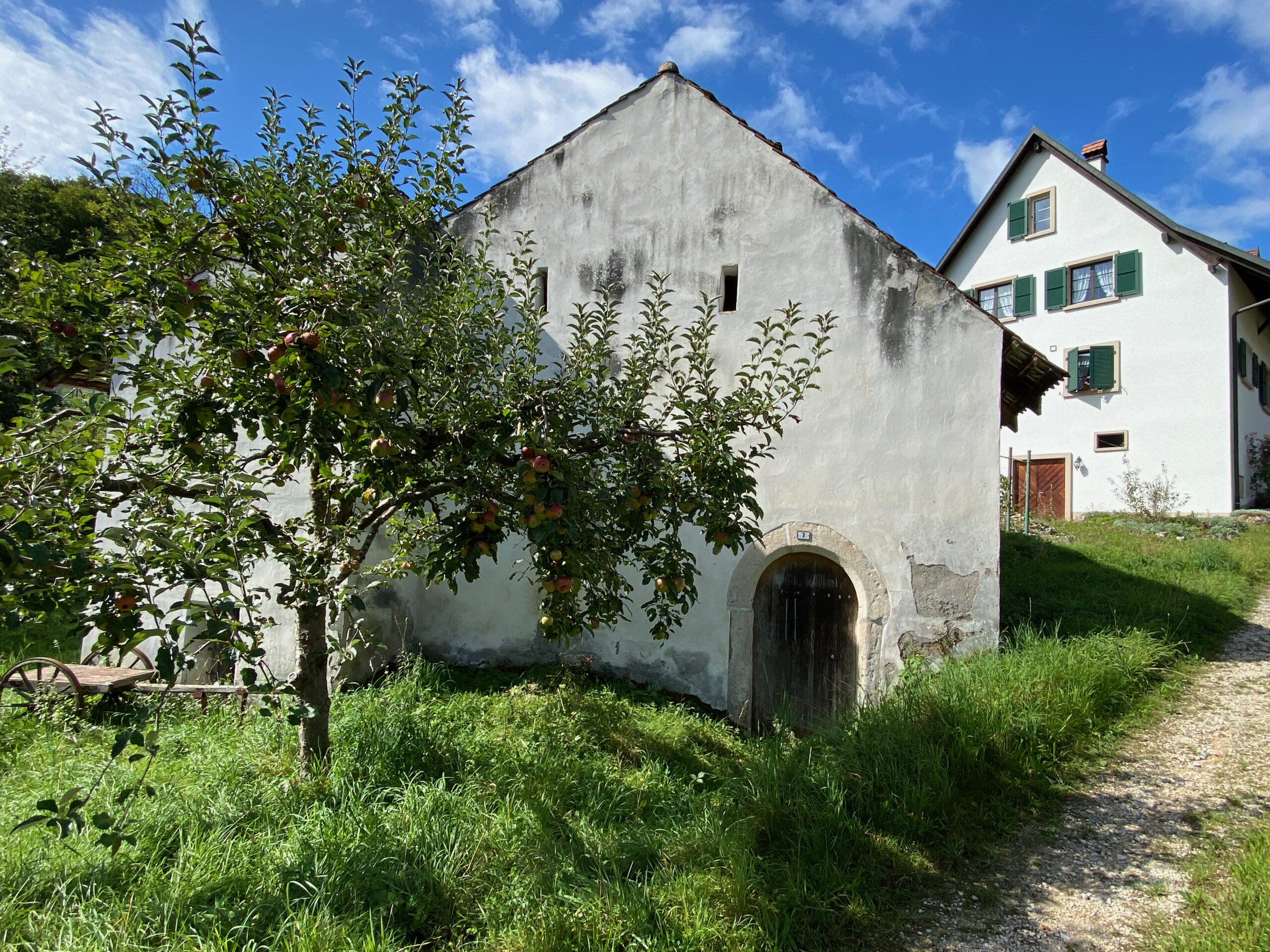 Bueren Muehle mit Baum_Sebastian Juengel