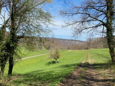 Seewen Bueren 2 Blick Kreuz Blick zurueck_Sebastian Juengel