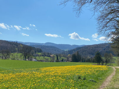 Seewen Bueren 4 Weitblick 1_Sebastian Juengel