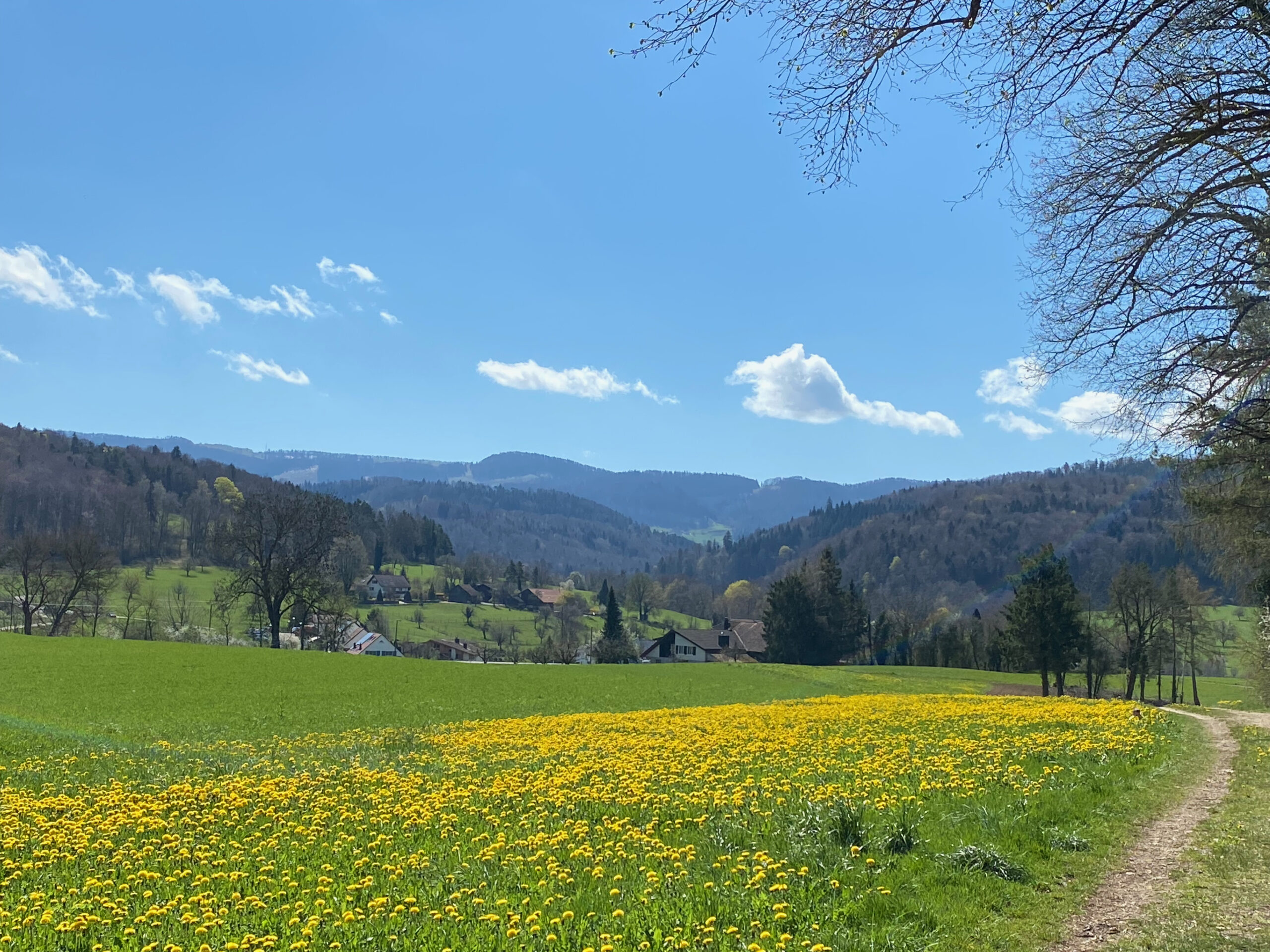 Seewen Bueren 4 Weitblick 1_Sebastian Juengel