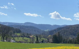 Wandertipp: Von Seewen nach Büren