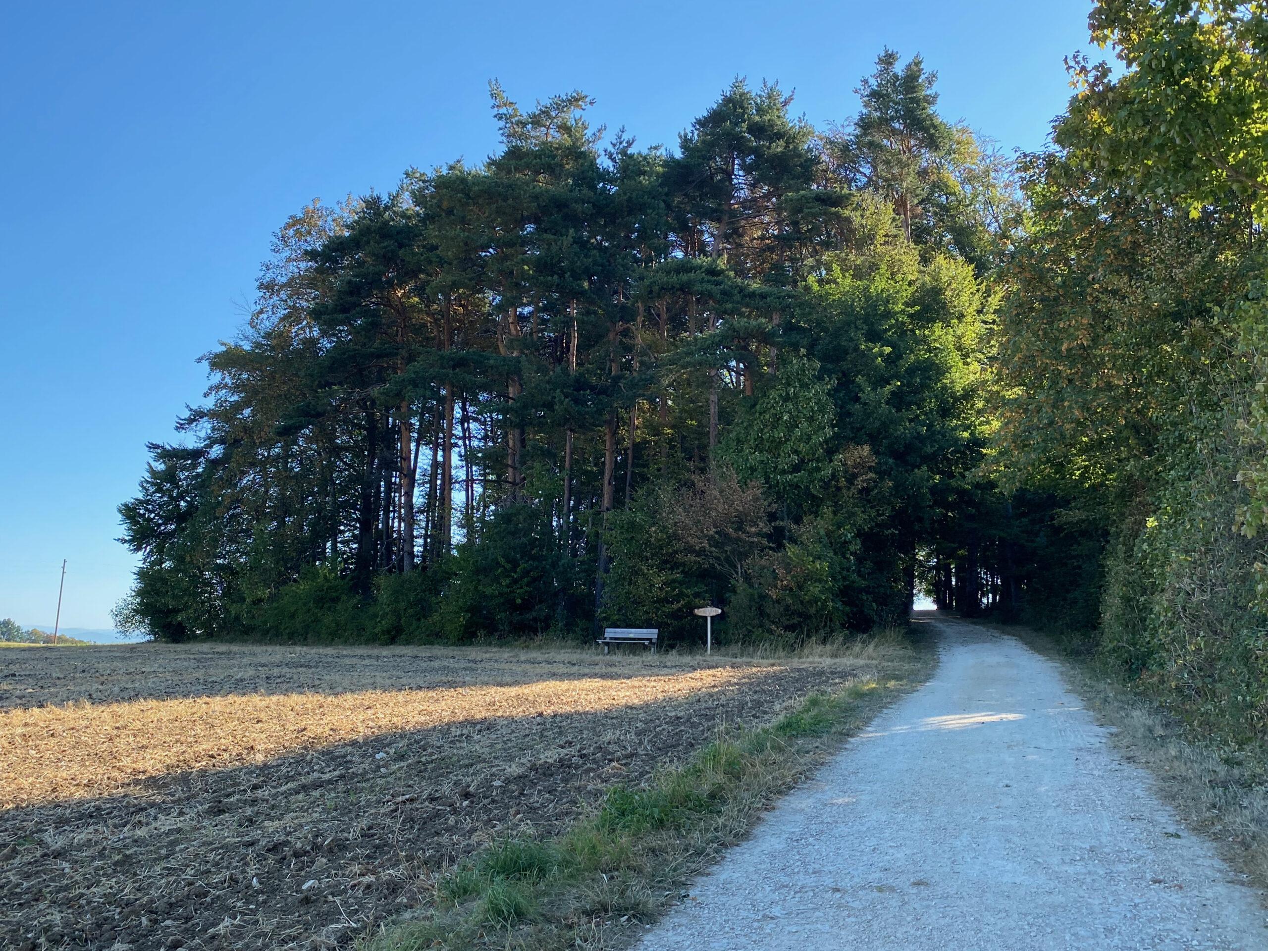 Gempen Sagenweg 1 6 Stelliwaeldli_Sebastian Juengel