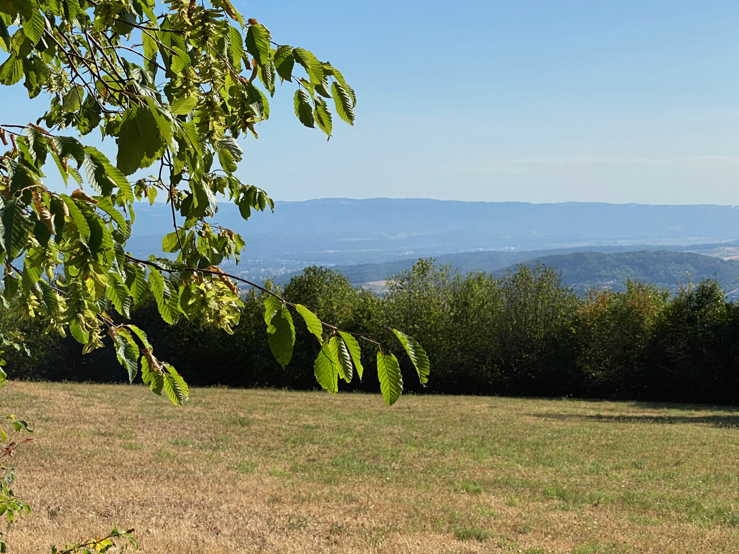 Gempen Sagenweg 2 1_Panorama_Sebastian Juengel