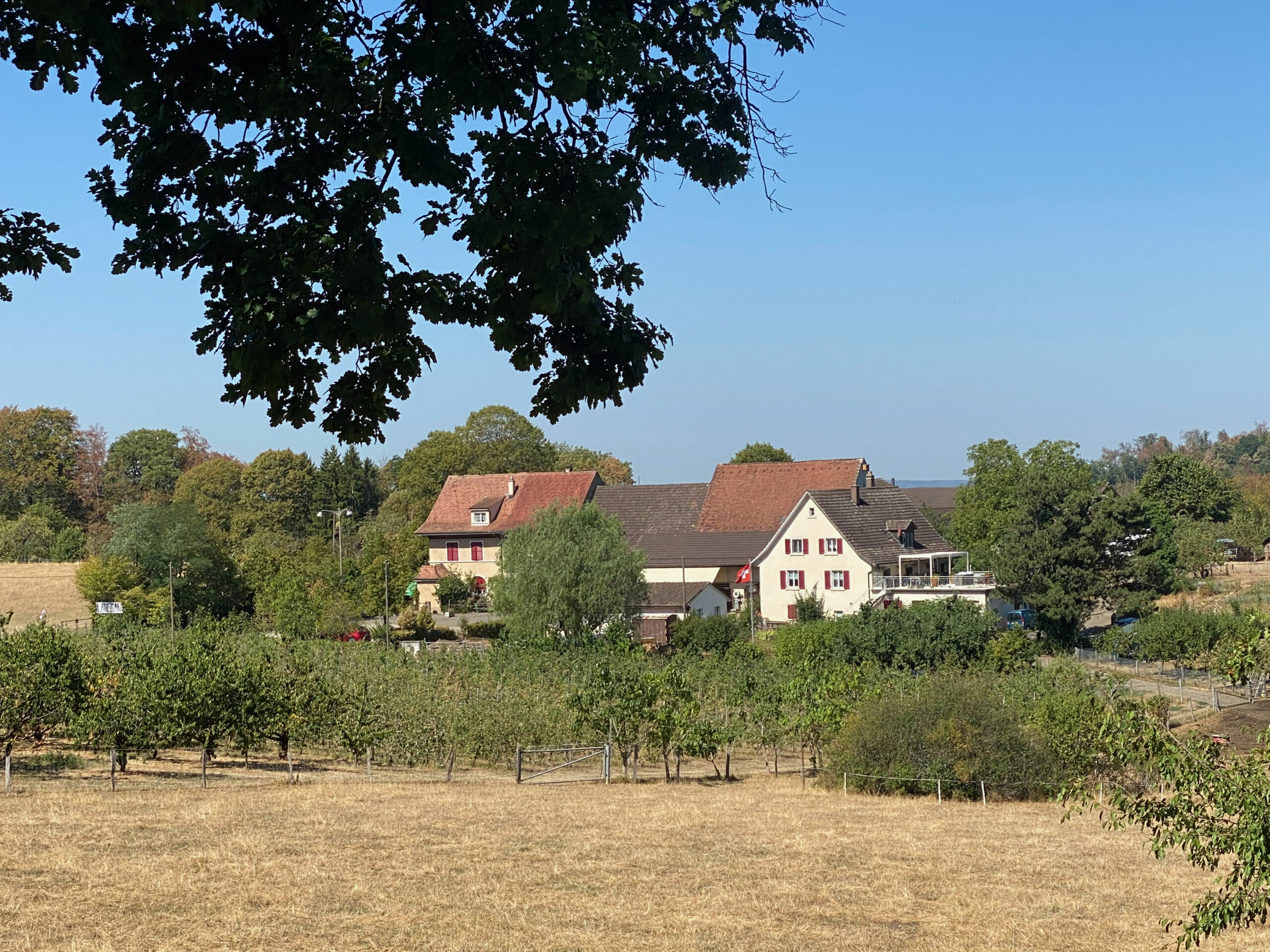 Gempen Sagenweg 2 3 Schoenmatt_Sebastian Juengel